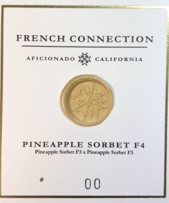 Pineapple Sorbet F4