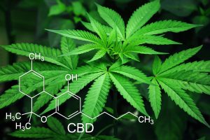 THC CBD