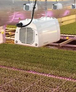 Elixia LX601C Led