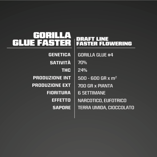 Gorilla Glue Faster 2