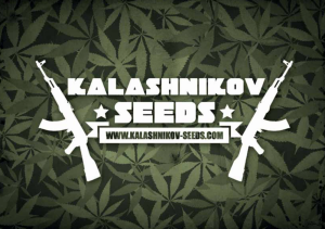 Kalashnikov Seeds Logo