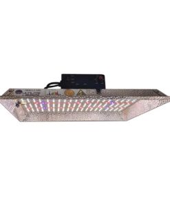 Cultilite LED NEBULA