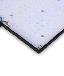 Phytolite RESINA Q-BOARDS
