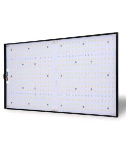 Phytolite RESINA Q-BOARDS 240