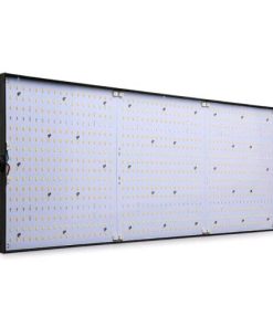 Phytolite RESINA Q-BOARDS 320
