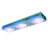 Phytolite Lampade a Led CLOROFILLA PRO CREE 3070 250