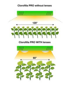Phytolite Lampade a Led CLOROFILLA PRO CREE 3070 80