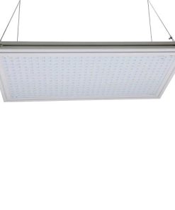 Phytolite RESINA MICRO BOARDS 60