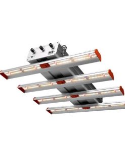 Phytolite RESINA Q-BAR 250
