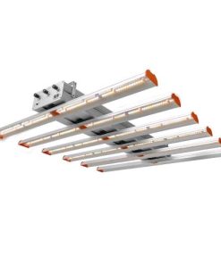 Phytolite RESINA Q-BAR 500