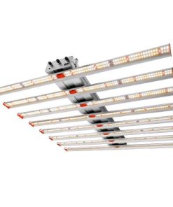 Phytolite RESINA Q-BAR 700