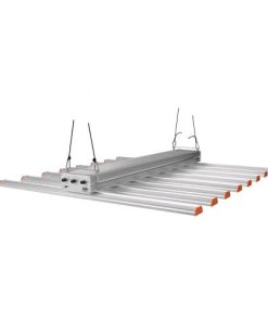 Phytolite RESINA Q-BAR 700