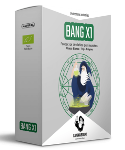 Cannaboom BANG X1