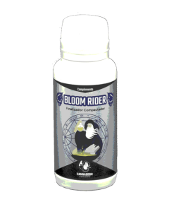 Cannaboom BLOOM RIDER