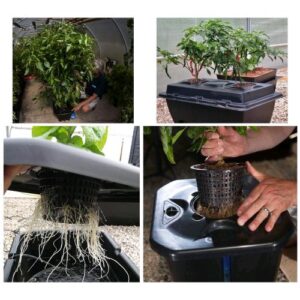 Nutriculture OXYPOT