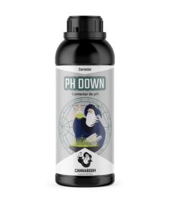 Cannaboom PH DOWN