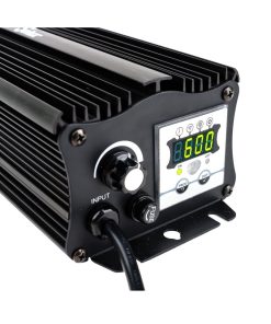Solux Lighting 600W