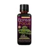 Growth Technology Bonsai Focus