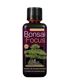 Growth Technology Bonsai Focus