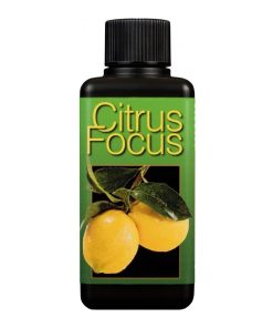 Growth Technology Citrus Focus