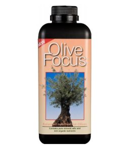 Growth Technology Olive Focus