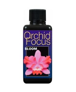 Growth Technology Orchid Focus Bloom