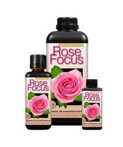 Growth Technology Rose Focus