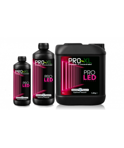 Pro-XL PRO LED