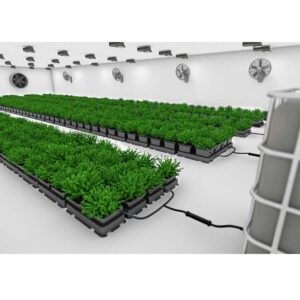 AutoPot Easy2grow