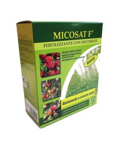 Micosat F1
