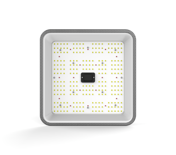 Ortoled QUANTUM BOARD Samsung 60W