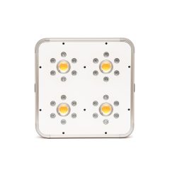 Ortoled TITANIUM 240W