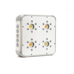 Ortoled TITANIUM 240W