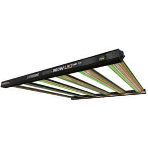 Dimlux Xtreme Series LED MKII ION 800W