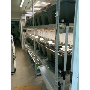 Container per 2300 Piante