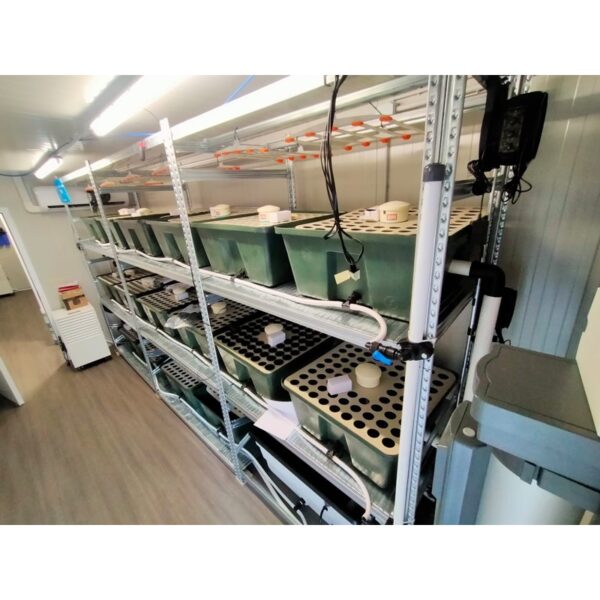 Container per 2300 Piante