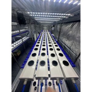 Container per 480 Piante