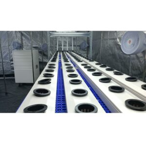 Container per 480 Piante
