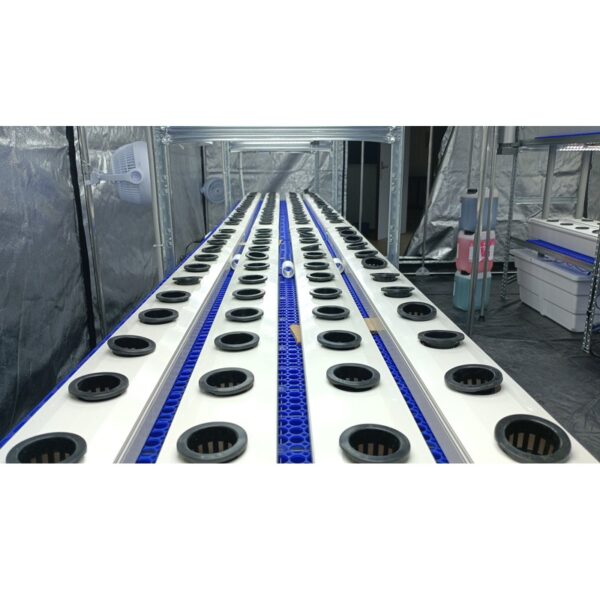 Container per 480 Piante
