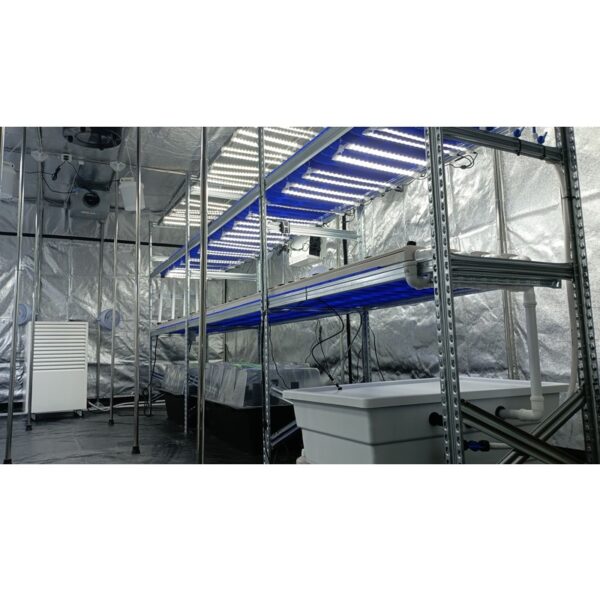 Container per 480 Piante