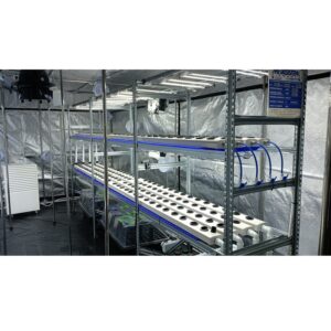 Container per 480 Piante