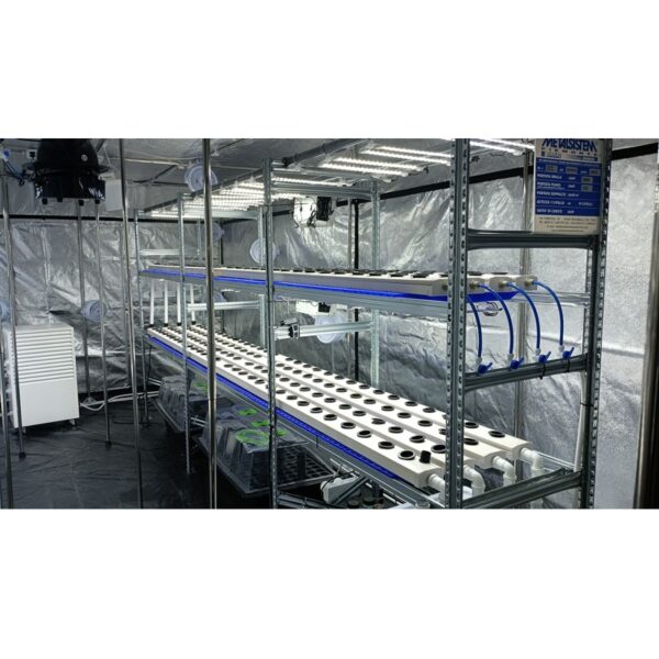 Container per 480 Piante