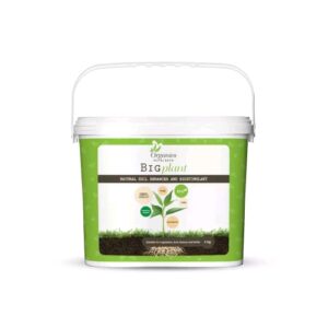 Organics Nutrients Big Plant