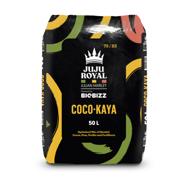 Juju Royal COCO KAYA