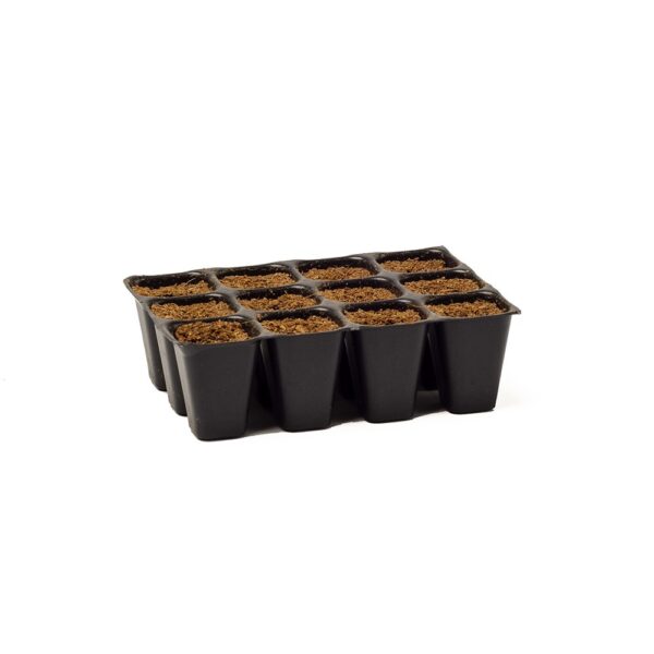 Biotabs SEEDPLUGS