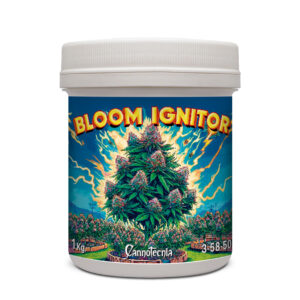 Bloom Ignitor 1 Kg. Cannotecnia