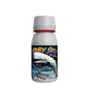 Moby Dick Cannotecnia