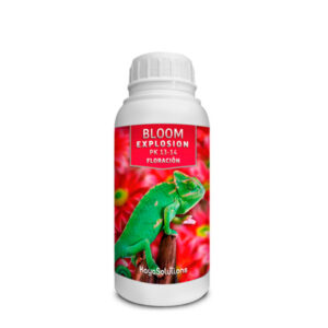 Bloom Explosion Kayasolutions
