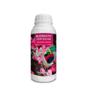 Budbastic Explosion Kayasolutions