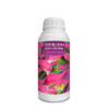 Top Bloom Explosion Kayasolutions